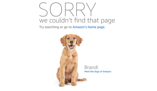 Amazon輸入のリサーチのコツ～ASINズレを狙え!!～