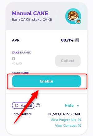 「Enable」をタップして有効化する