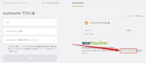 ecoVoucher【間接的にクレジットカードで入金する方法】