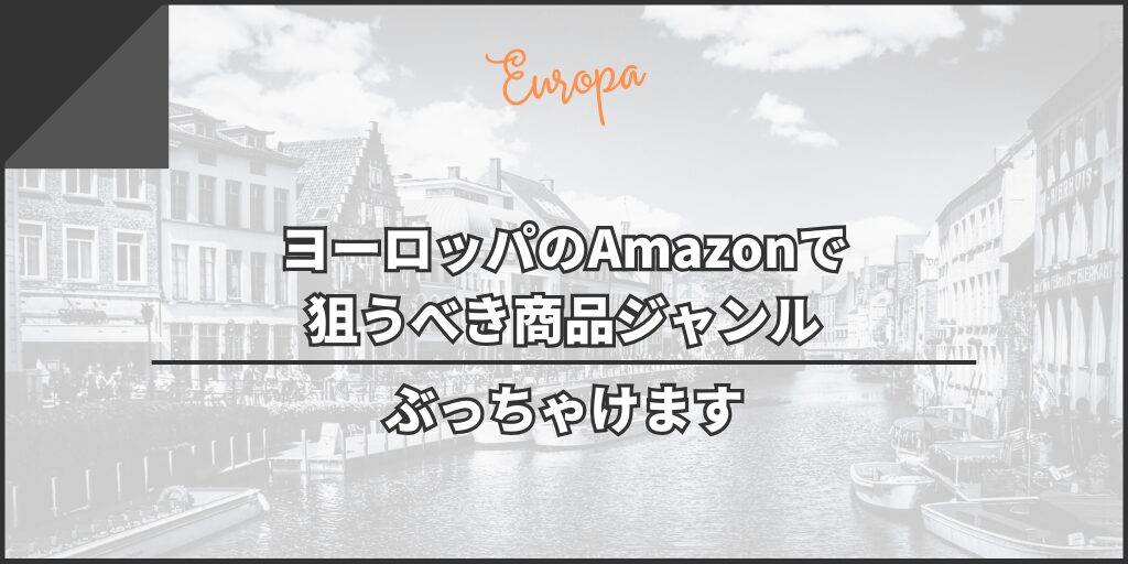 【ぶっちゃけます】ヨーロッパのAmazonで狙うべき商品ジャンル